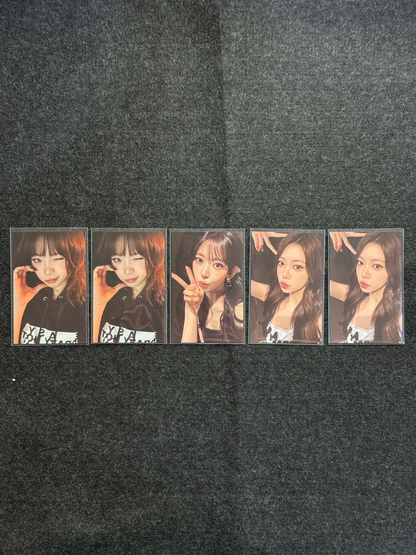 韓安 zone 卡 采櫻採