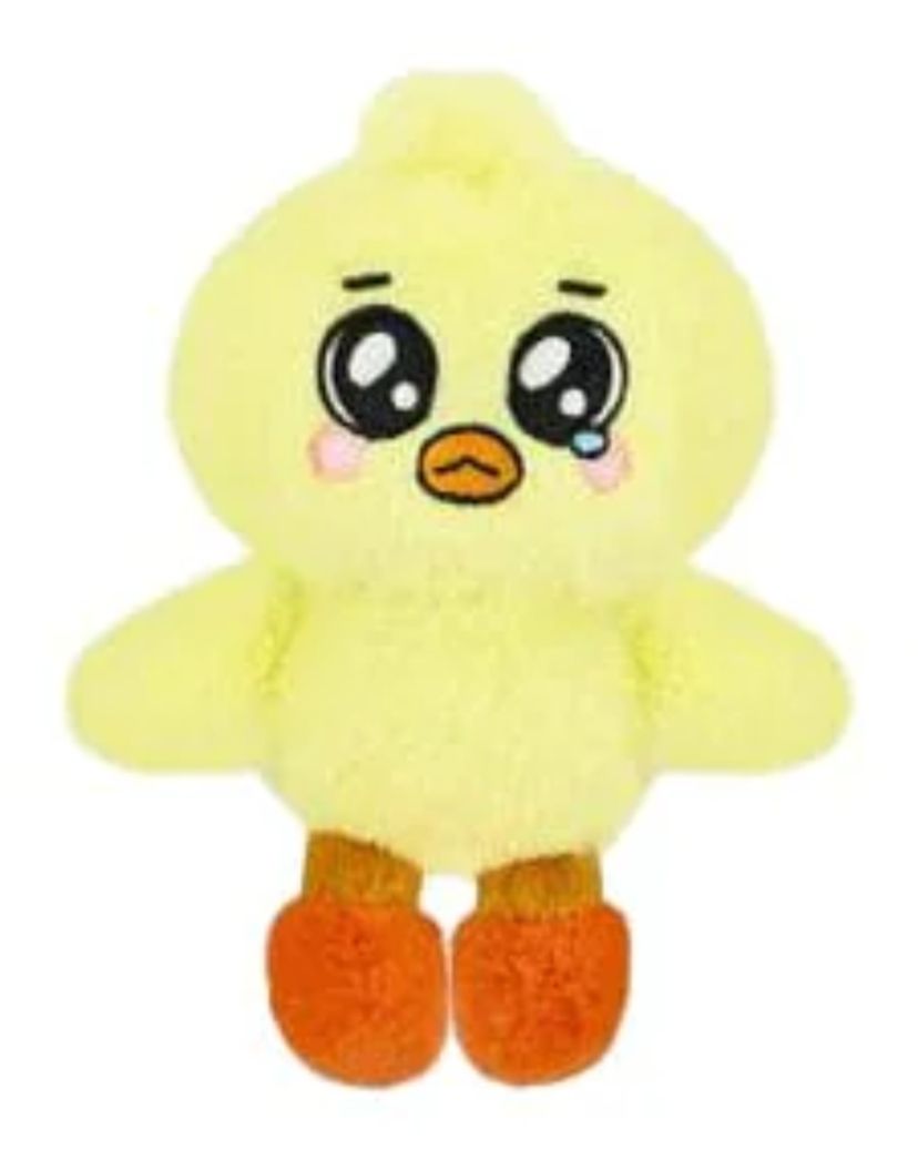 不綁 非現貨 NMIXX 裴 Bae 大娃