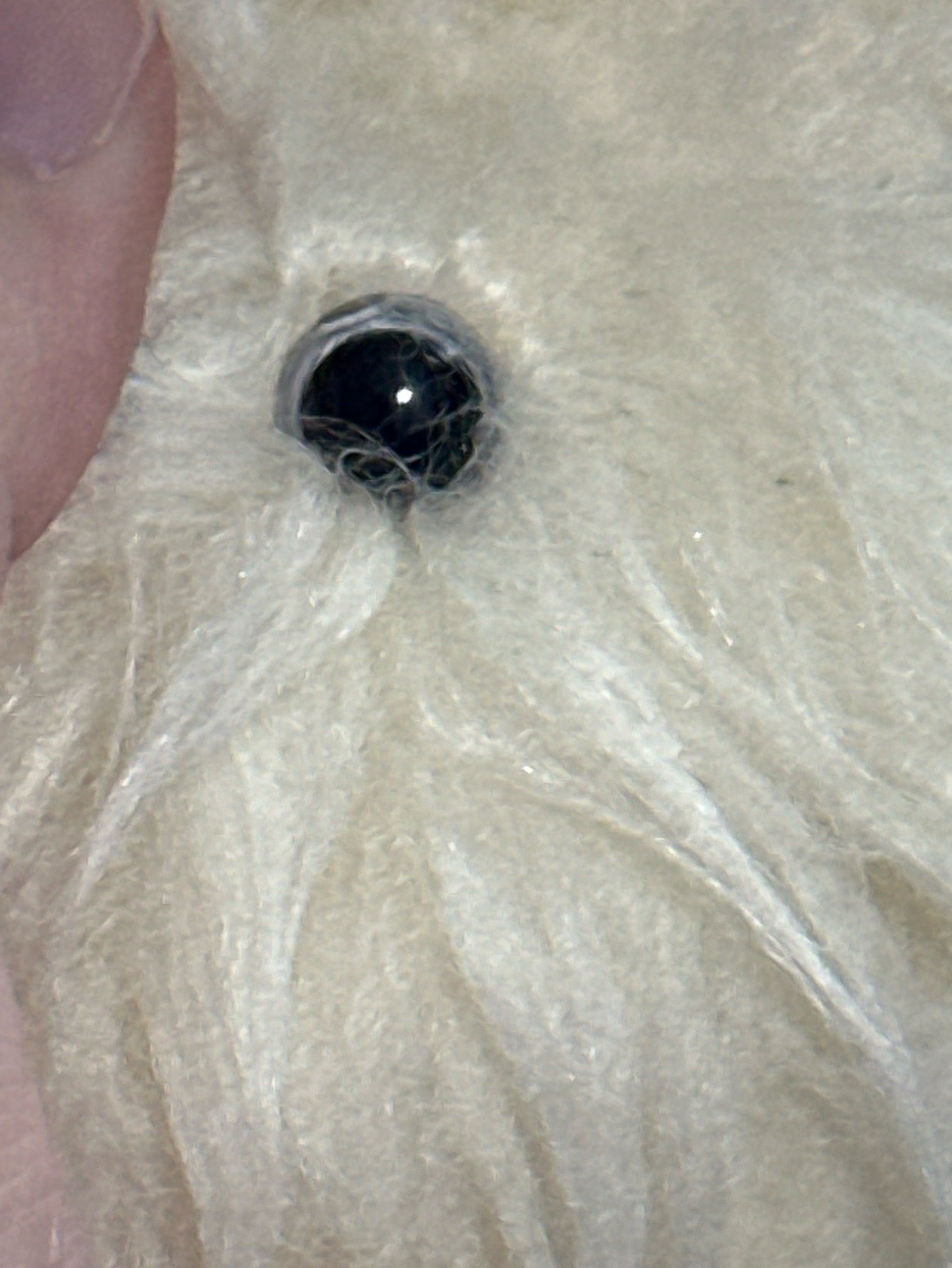 NMIXX 嫄水母 僅娃