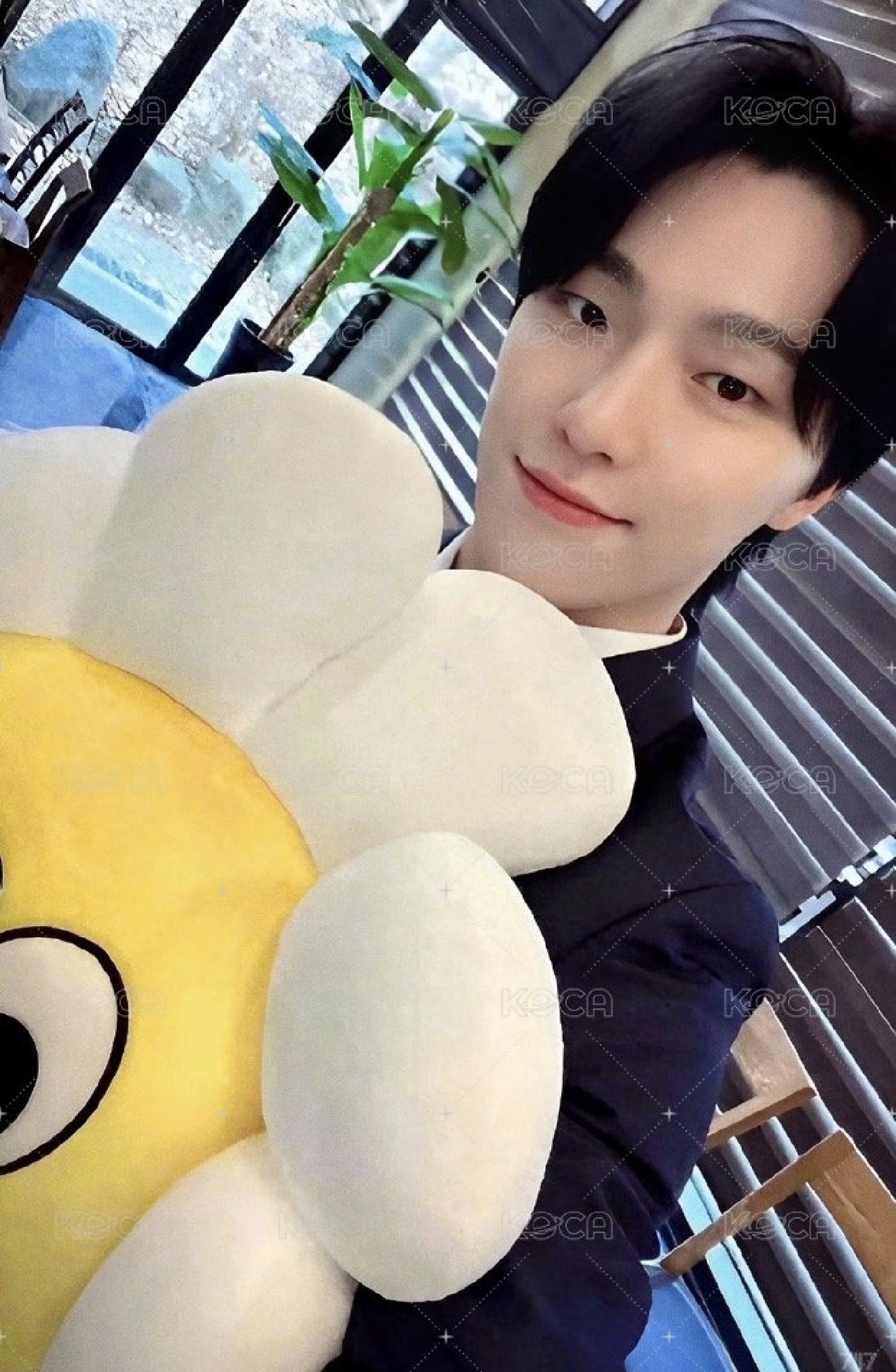 【DINO】仁川場限 大呲花