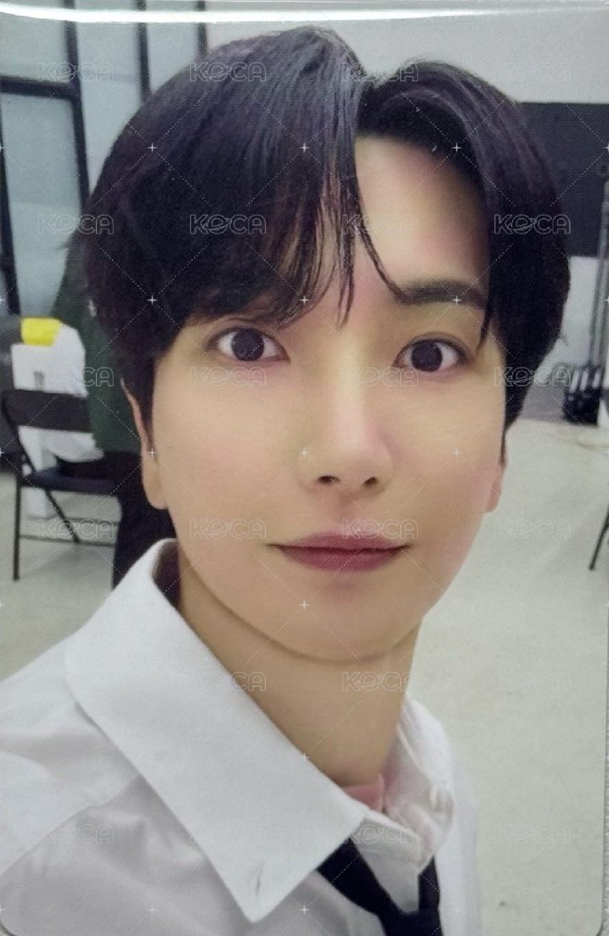 SS10 隨機卡 小熊餅乾卡