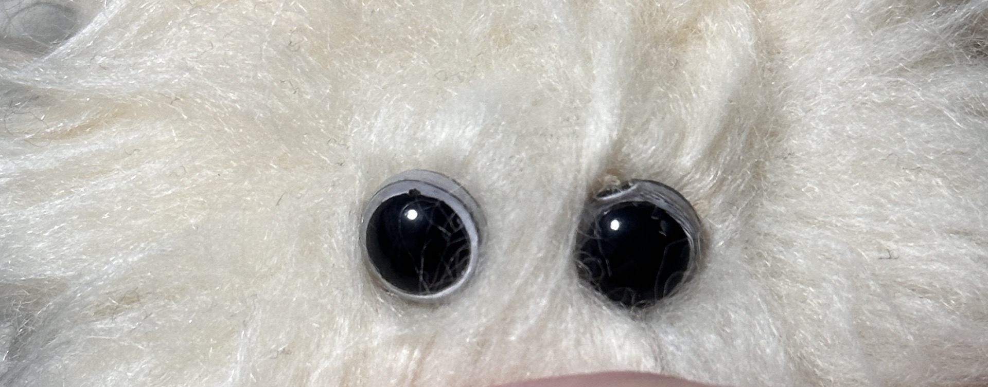 NMIXX 嫄水母 僅娃