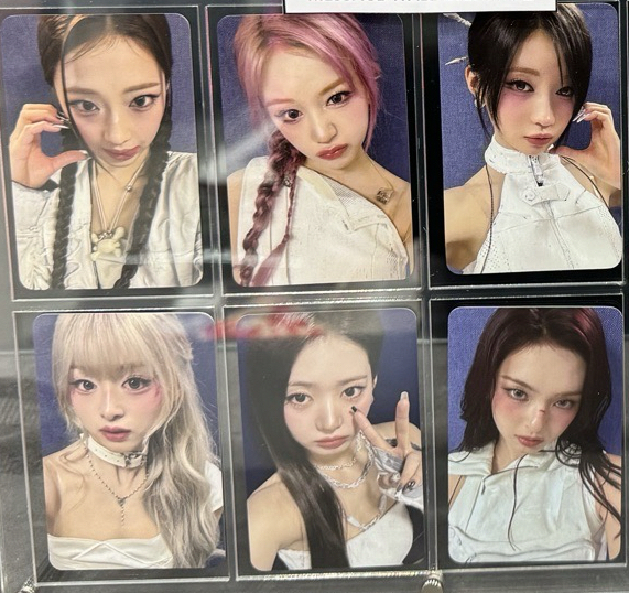 寶怪二週年會員卡