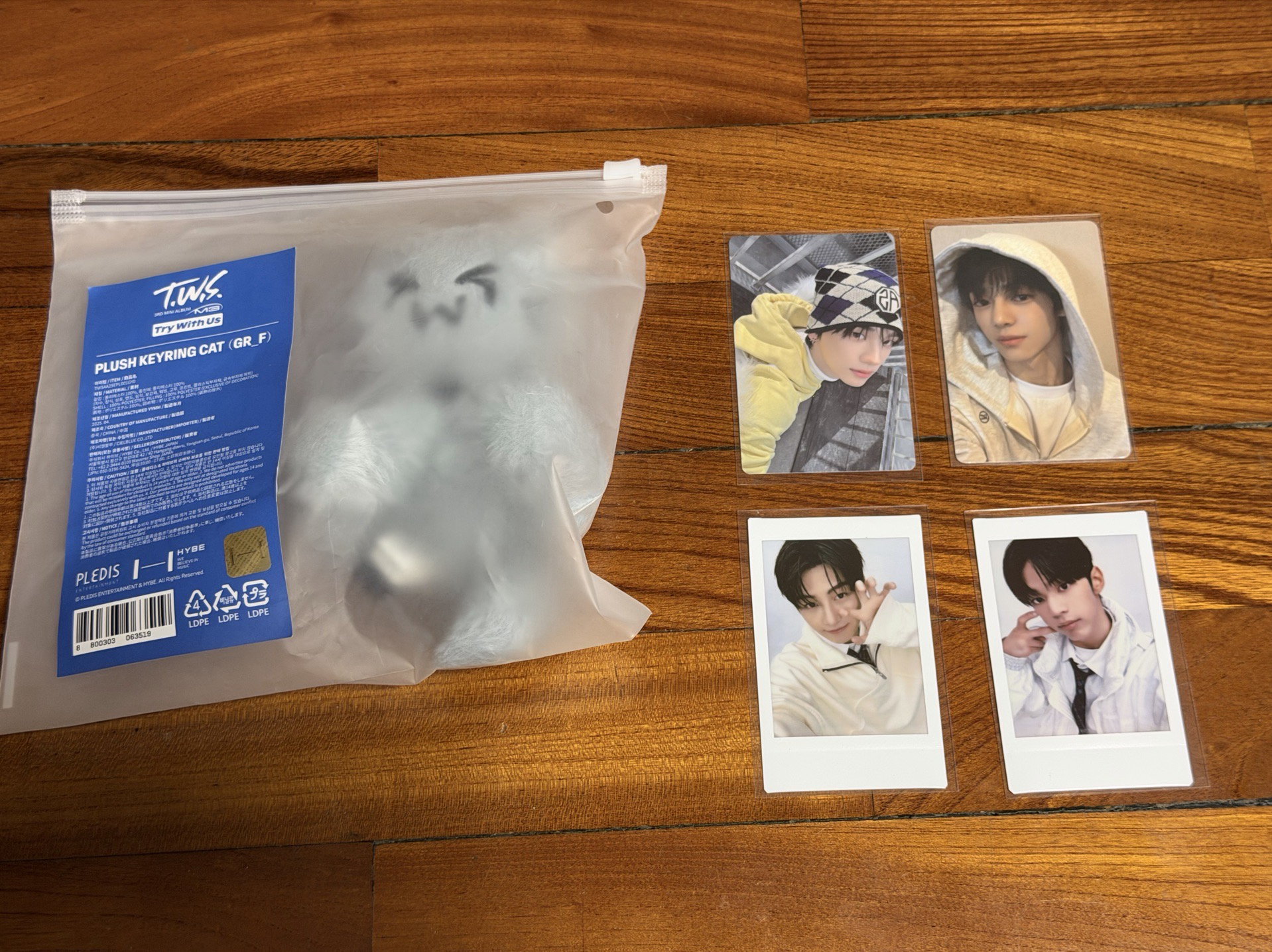 TWS 灰貓含圖中綁