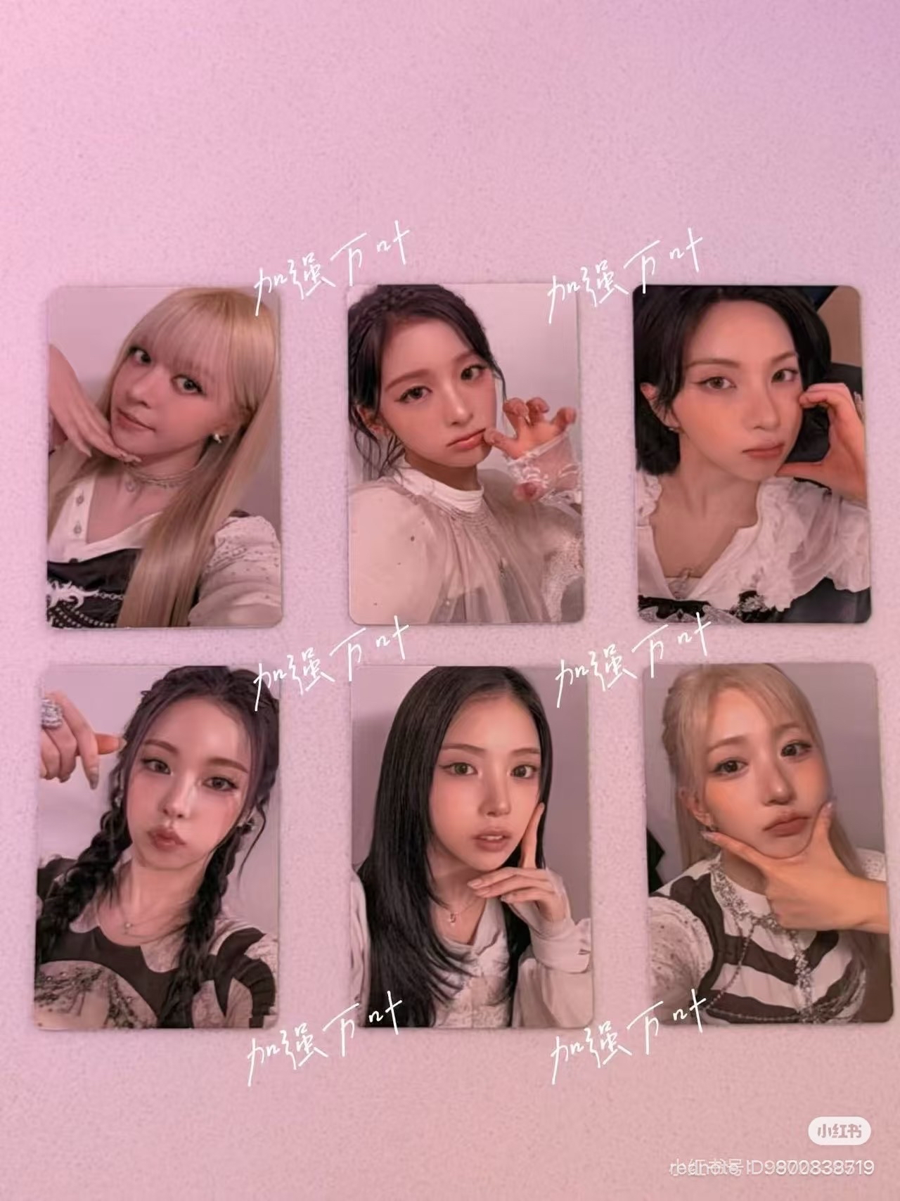 美巡入場卡一套