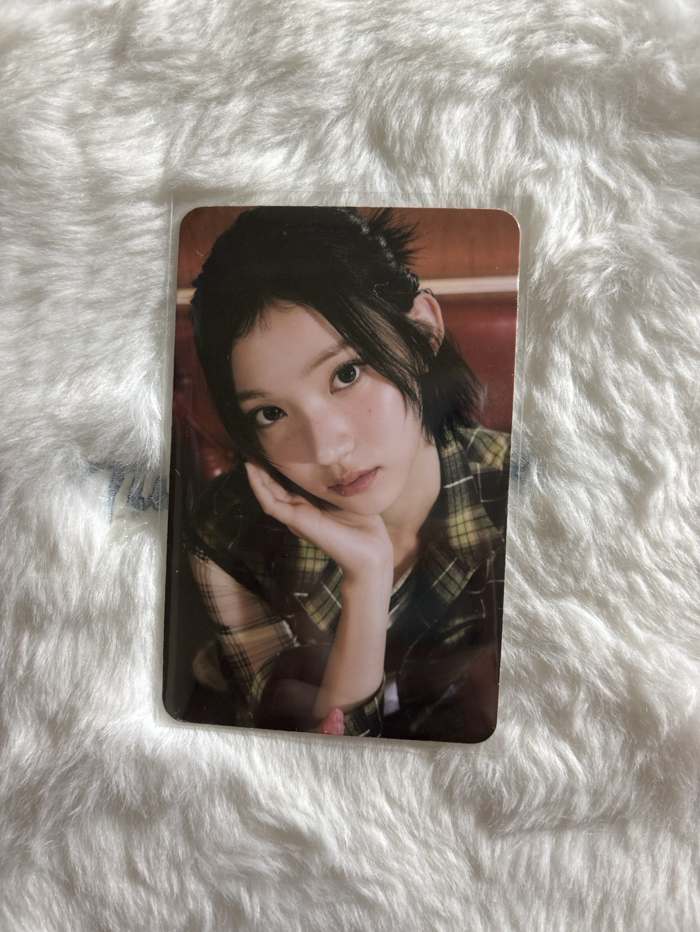 jiwoo Focus 隨機卡 MD 2.0