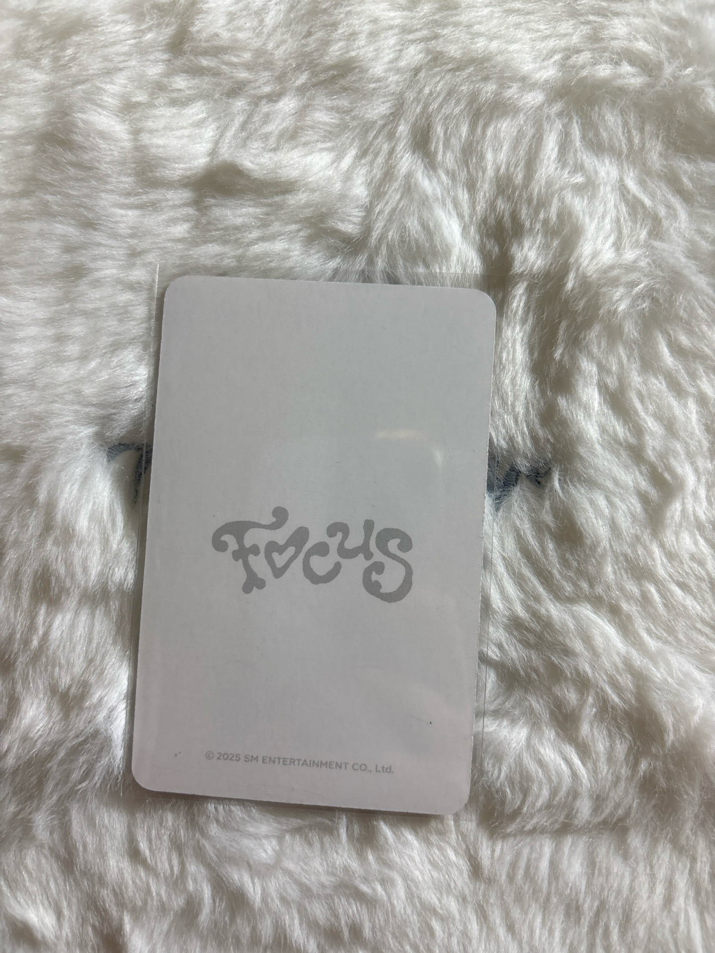 jiwoo Focus 隨機卡 MD 2.0