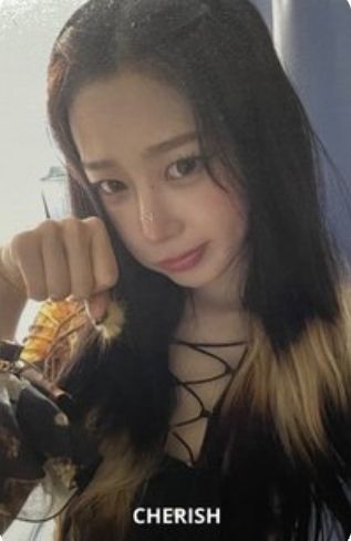 Drama am特典預售豬包吉