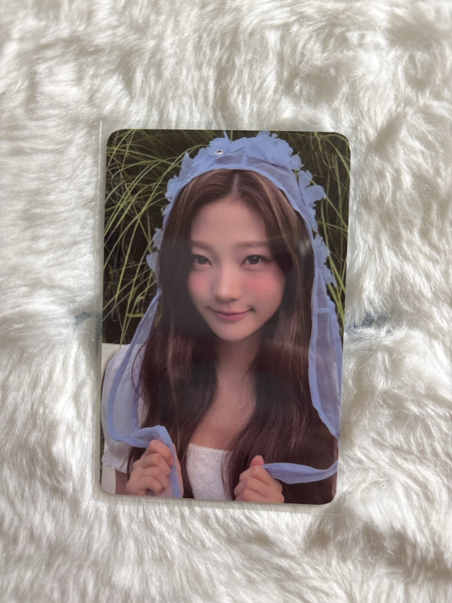 Stella 需多帶 年曆2026 隨機卡 A版自拍