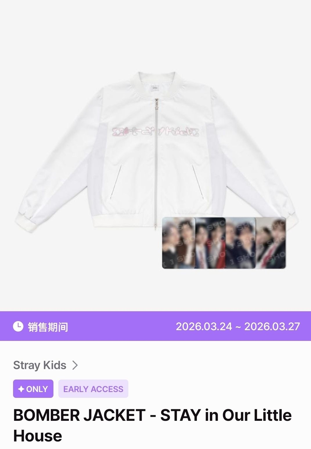 Stray Kids 飛行外套