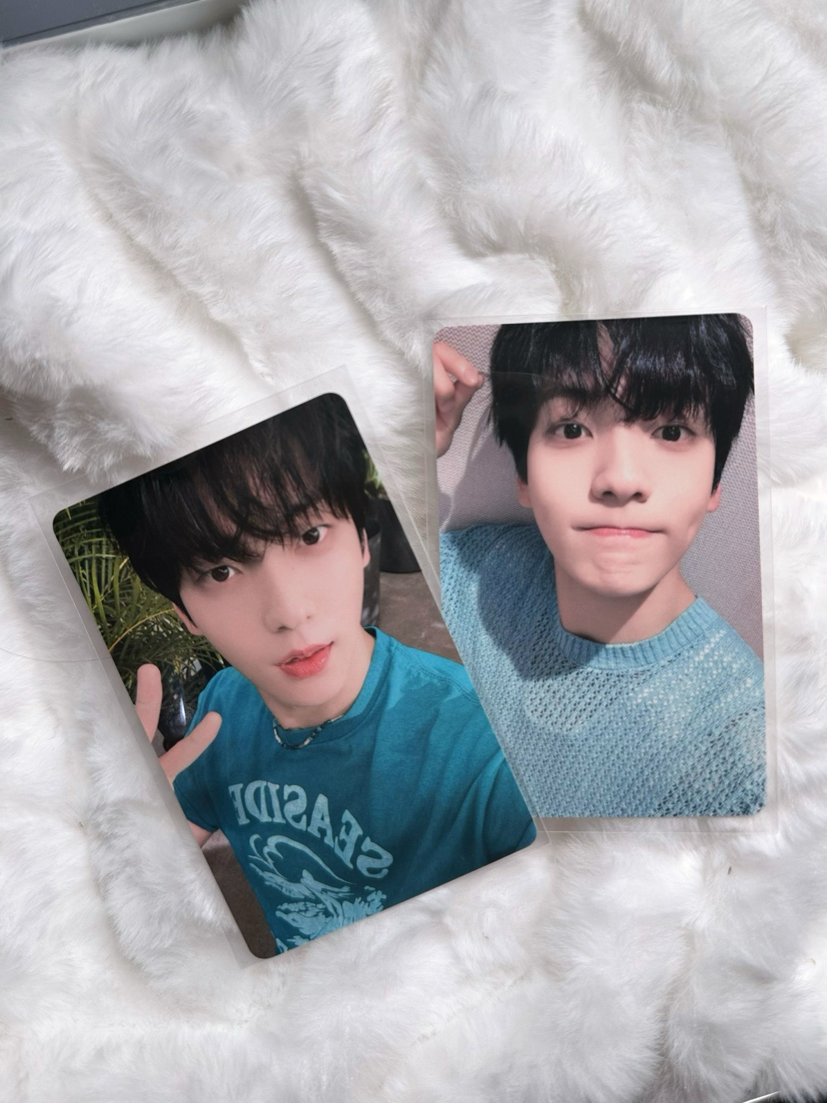 kms中背彬小盤🐰