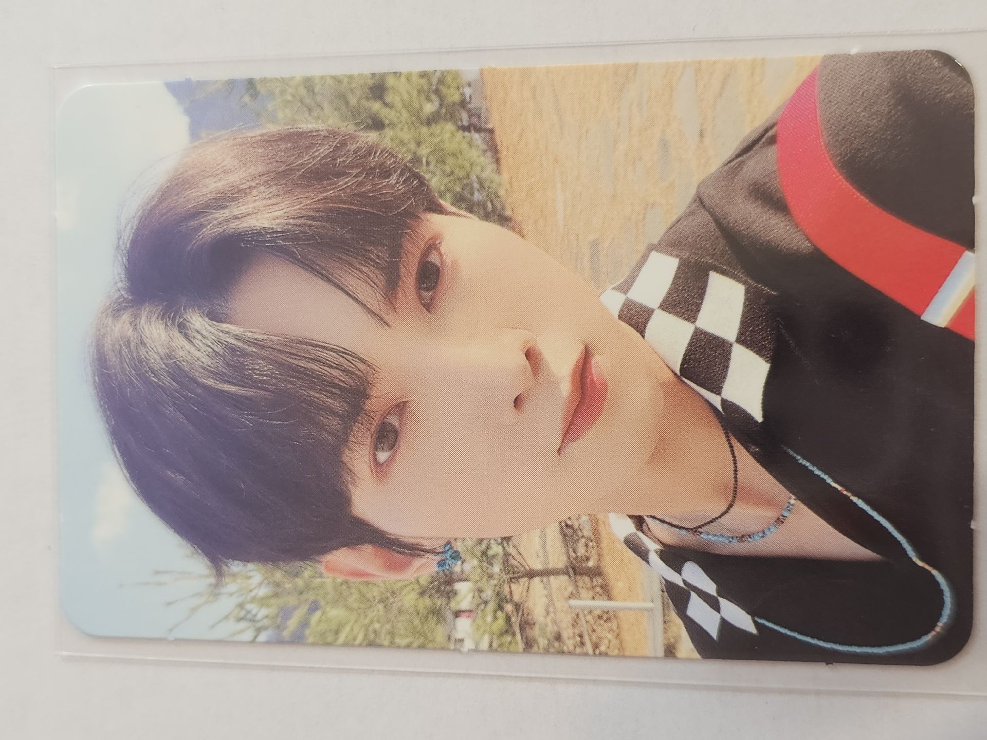 Ode to youth卡一套8張