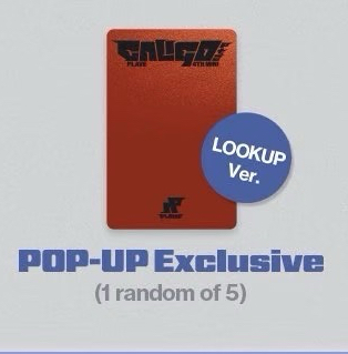 特典 lookup ver（備註許願成員單封）