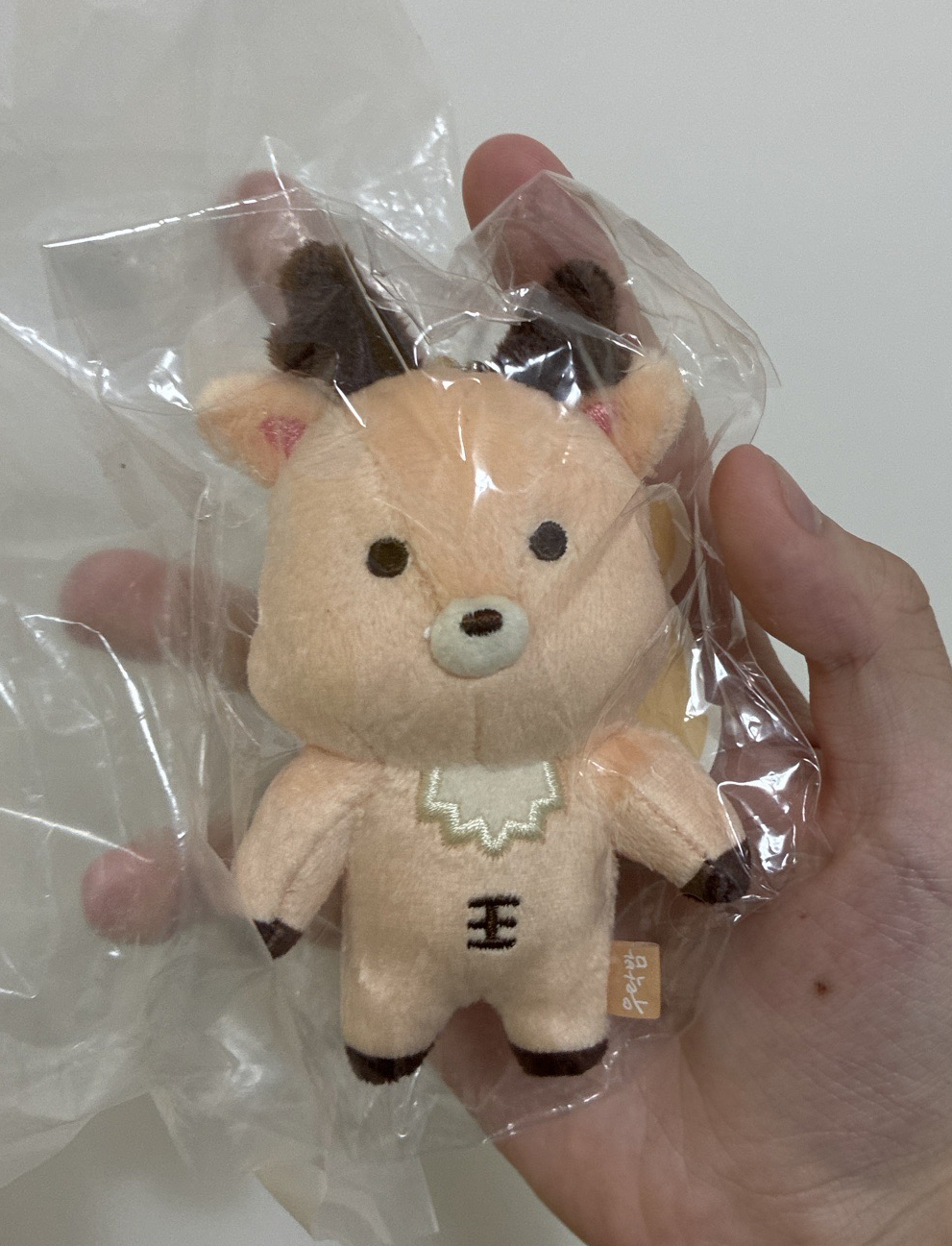 原皮10cm 烏拉鹿