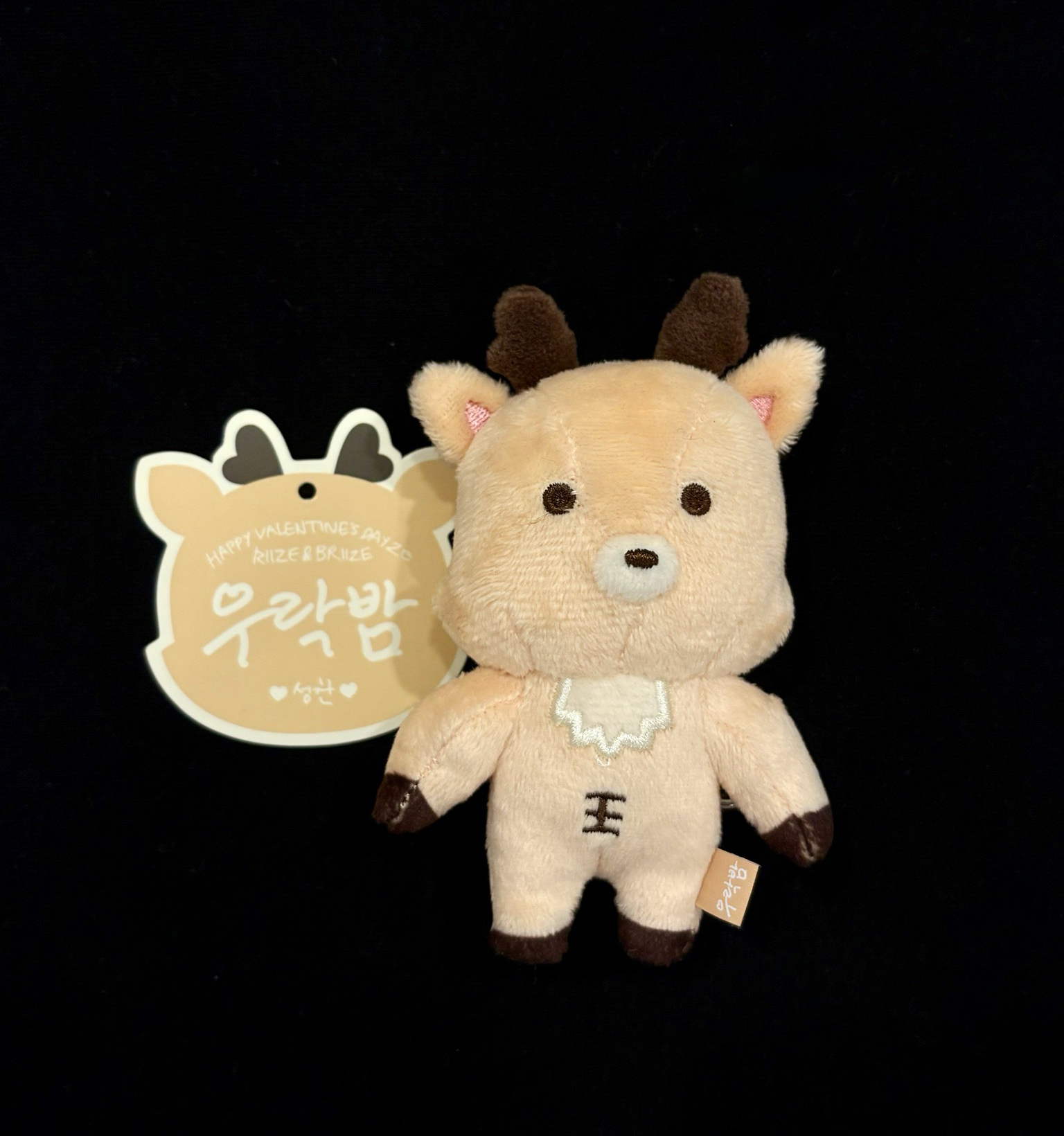 RIIZE 烏拉鹿 原皮 情人節10cm 鄭成燦