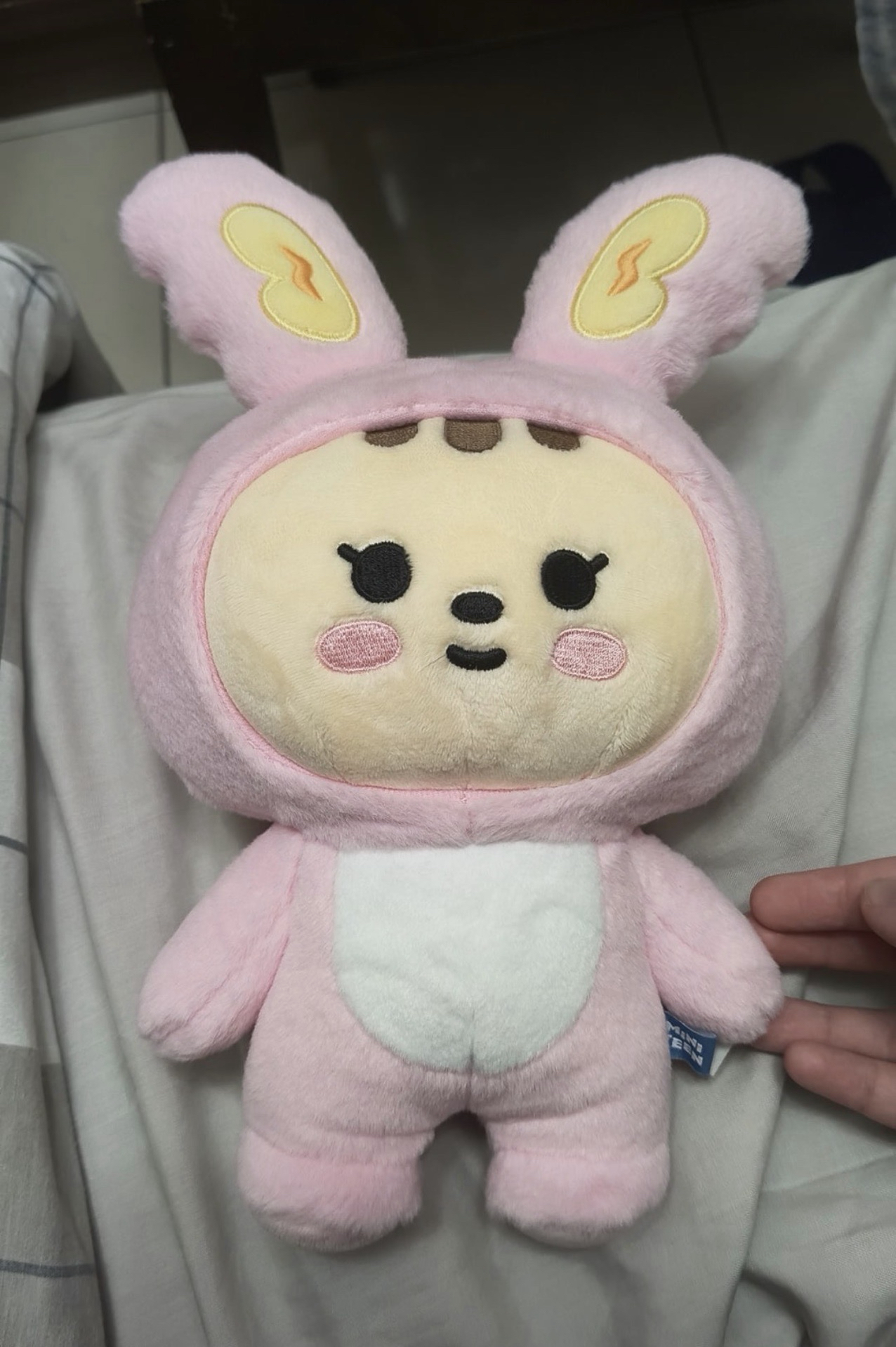 淨漢miniteen站娃 價格含綁