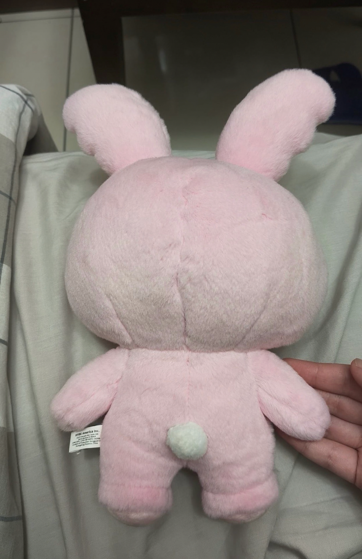 淨漢miniteen站娃 價格含綁