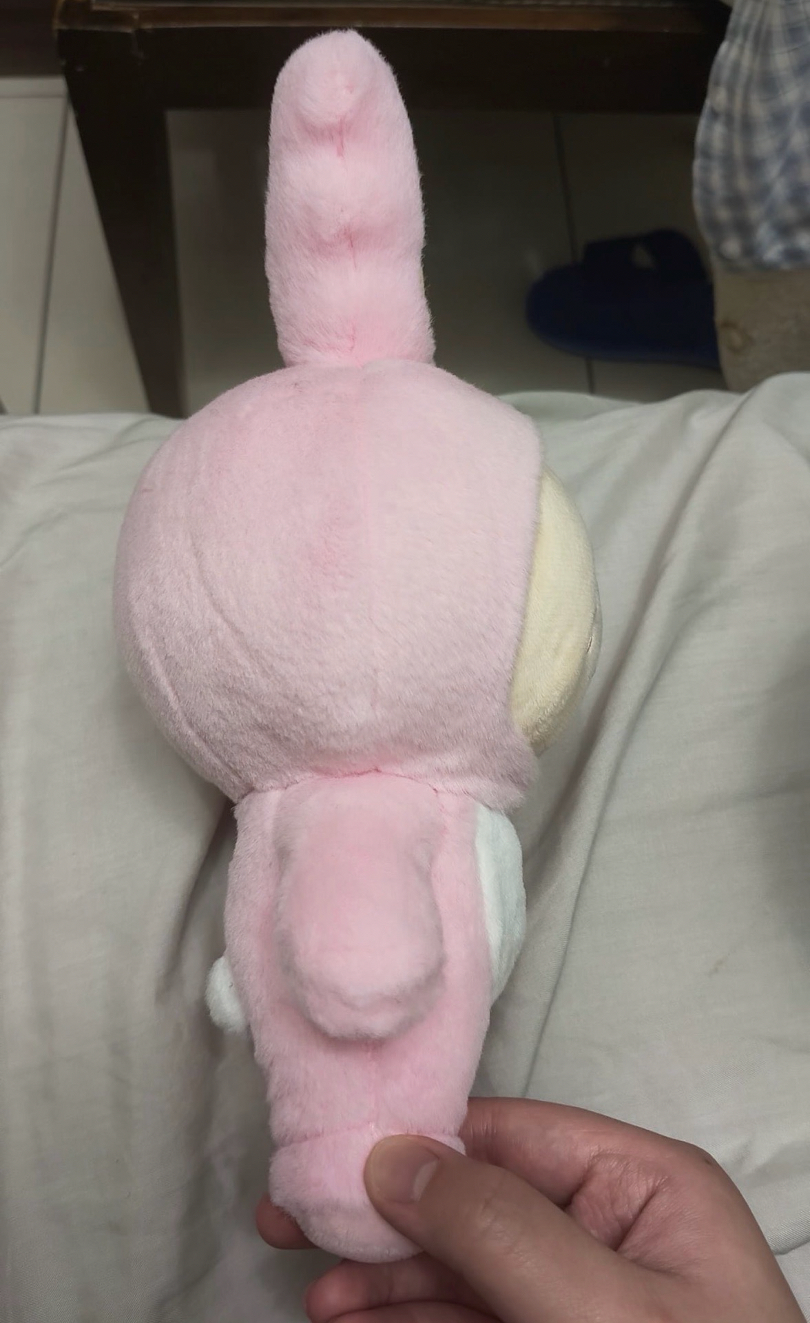 淨漢miniteen站娃 價格含綁