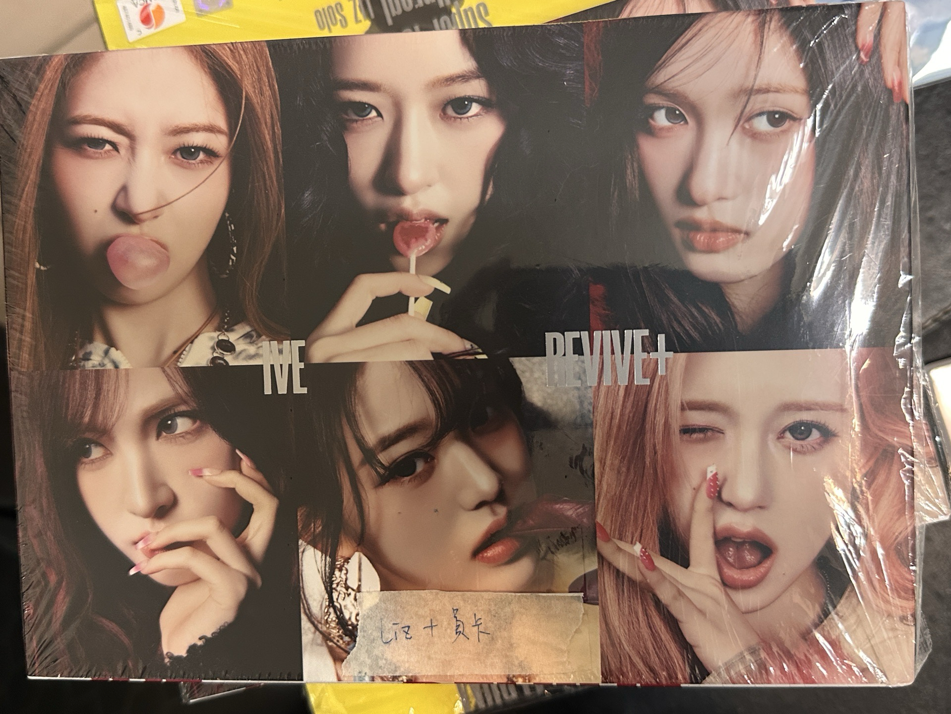 全專 C版 -栗明信片 員卡