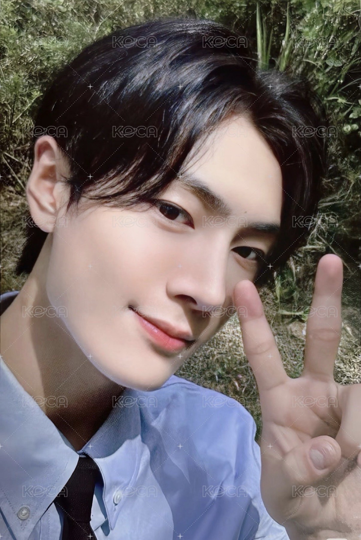 四週年相框綜星