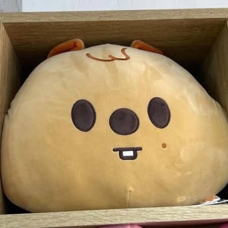 闊卡豆豆眼抱枕