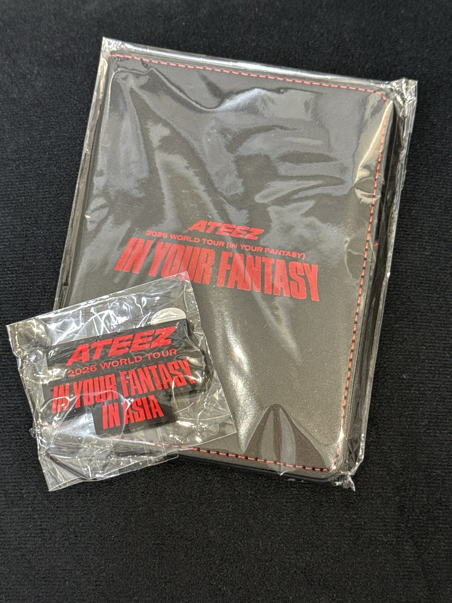 IYF 入場禮 護照套、磁鐵