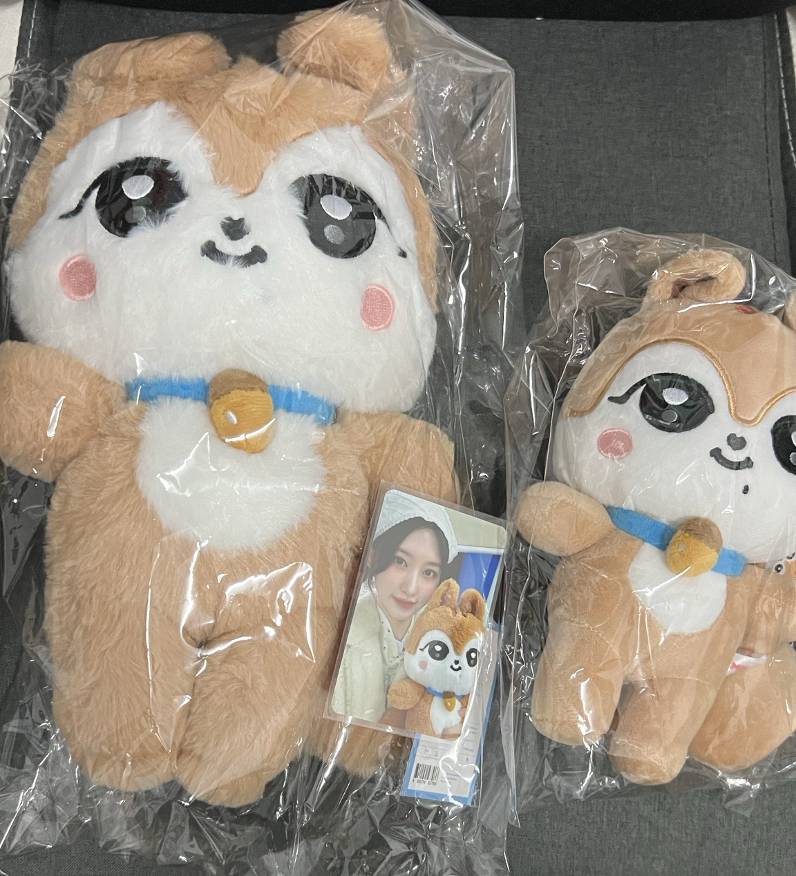 ！現貨！minive dal-e 秋秋娃