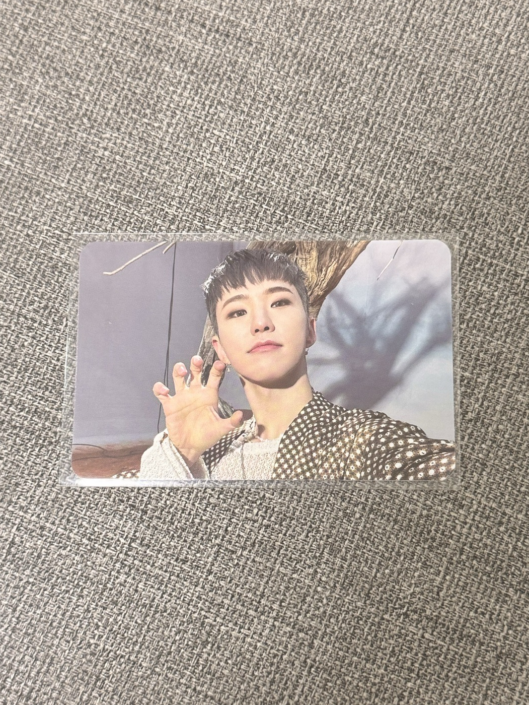 榮 正四專卡🐯˚＊.°﻿·˚