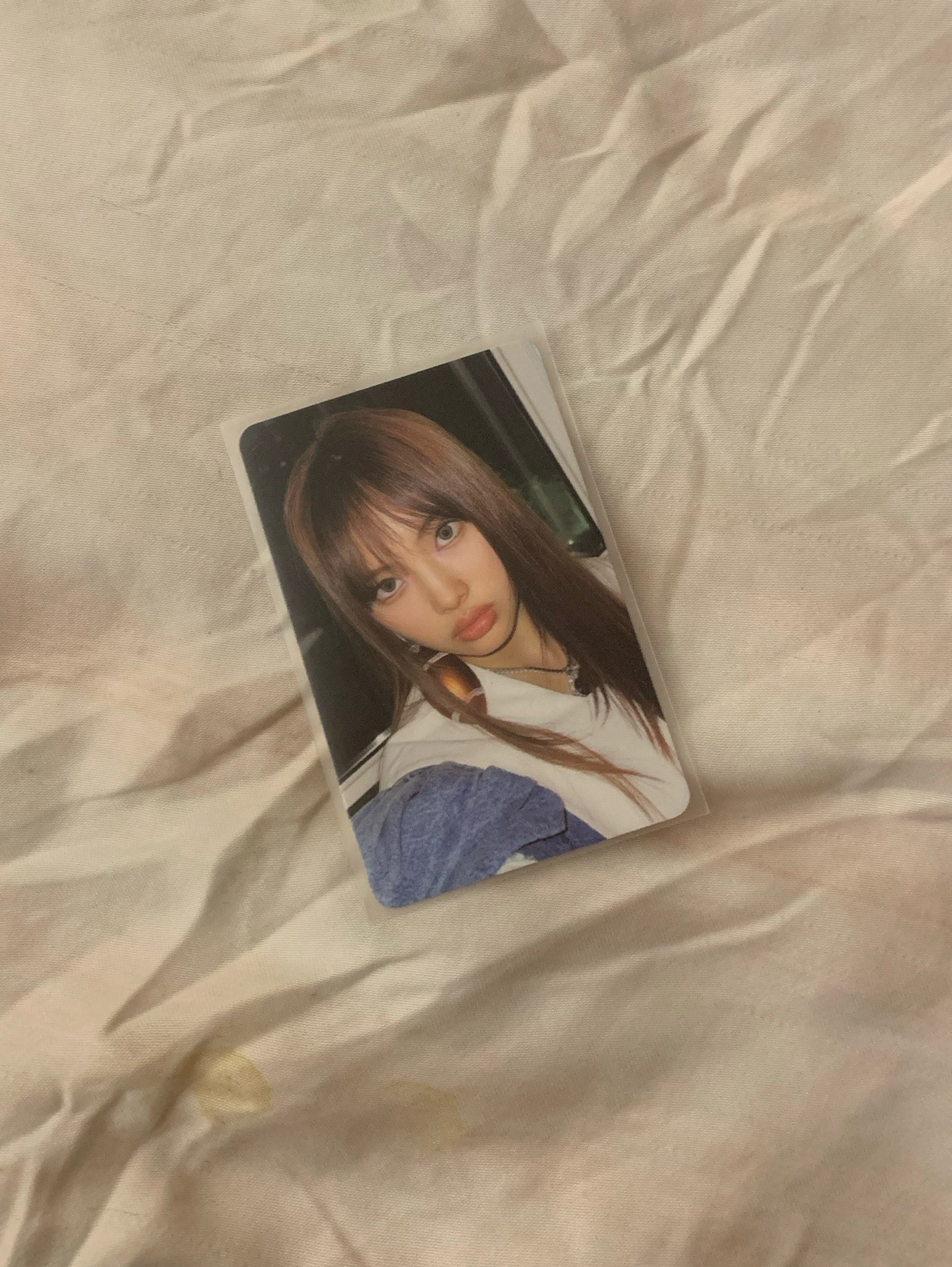 OMG 專輯卡 WVS C ver.