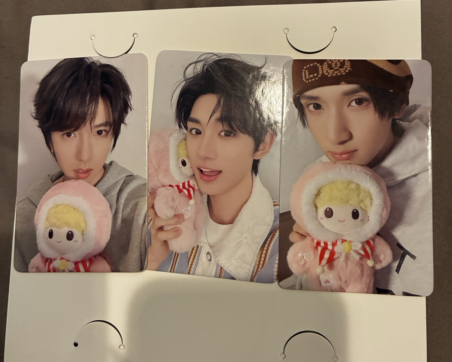 【TNT】團團卡包 單人卡