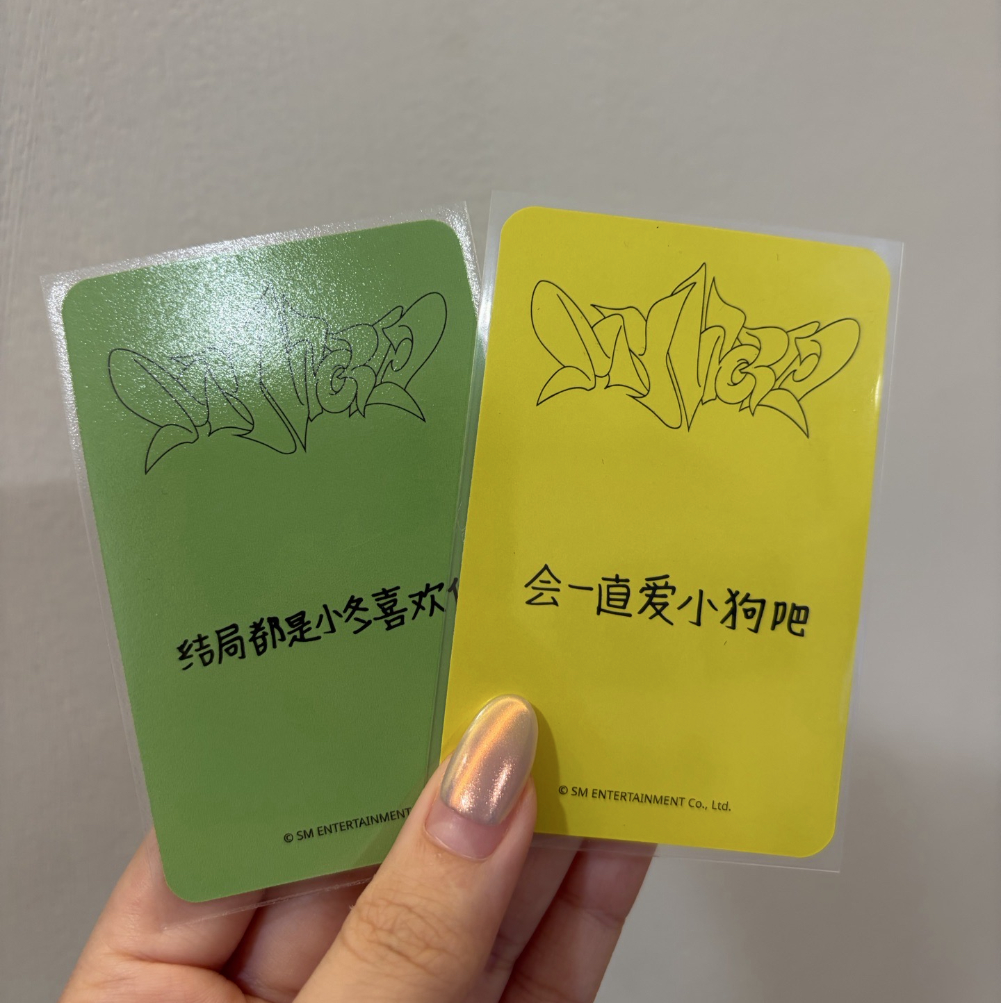 winter 星河中背冬