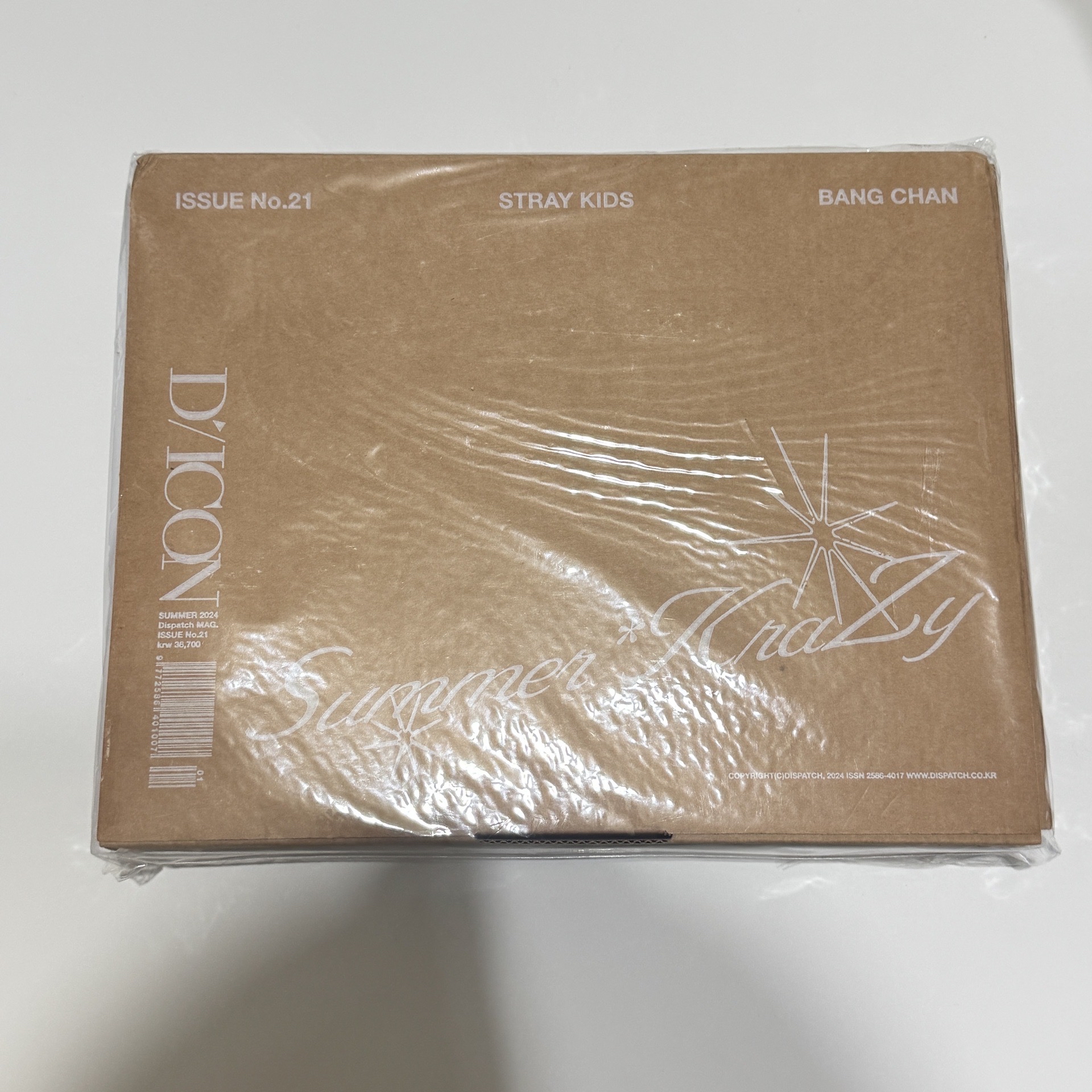 燦 DICON N°21寫真集/ 回憶錄 A版