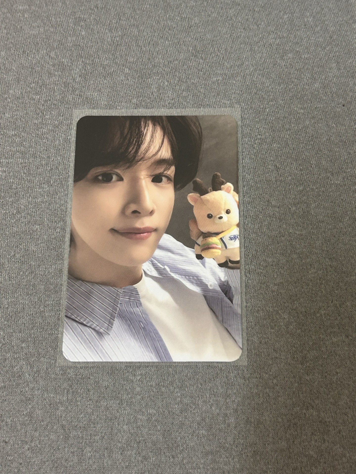 RIIZE PARK成燦隨機卡