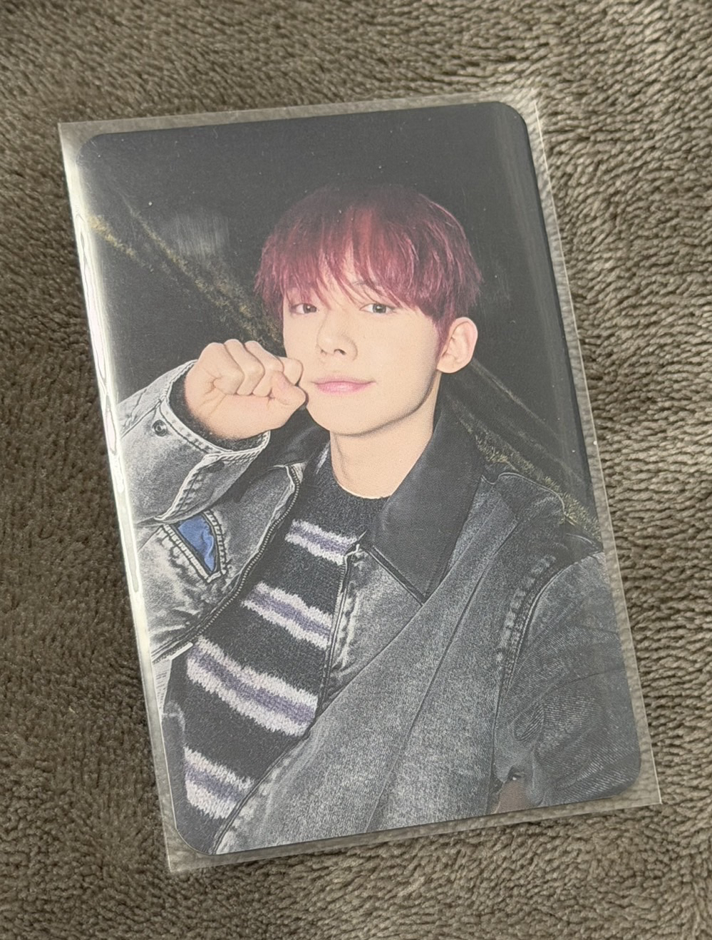 迷七 數星星 中背