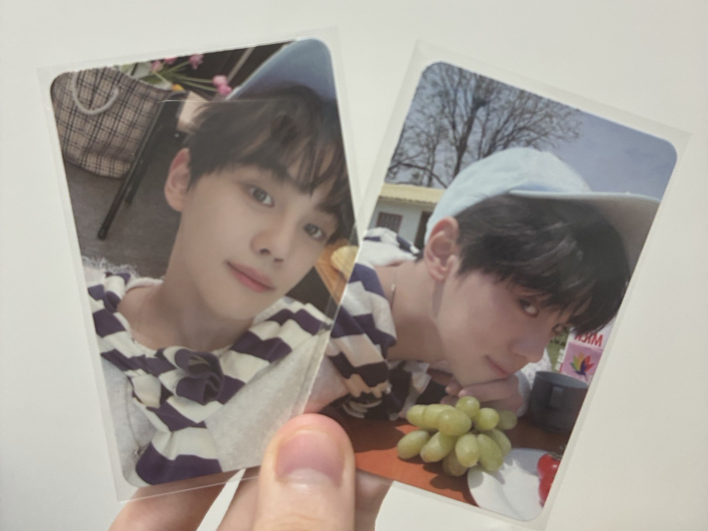 金奎彬二期會員禮