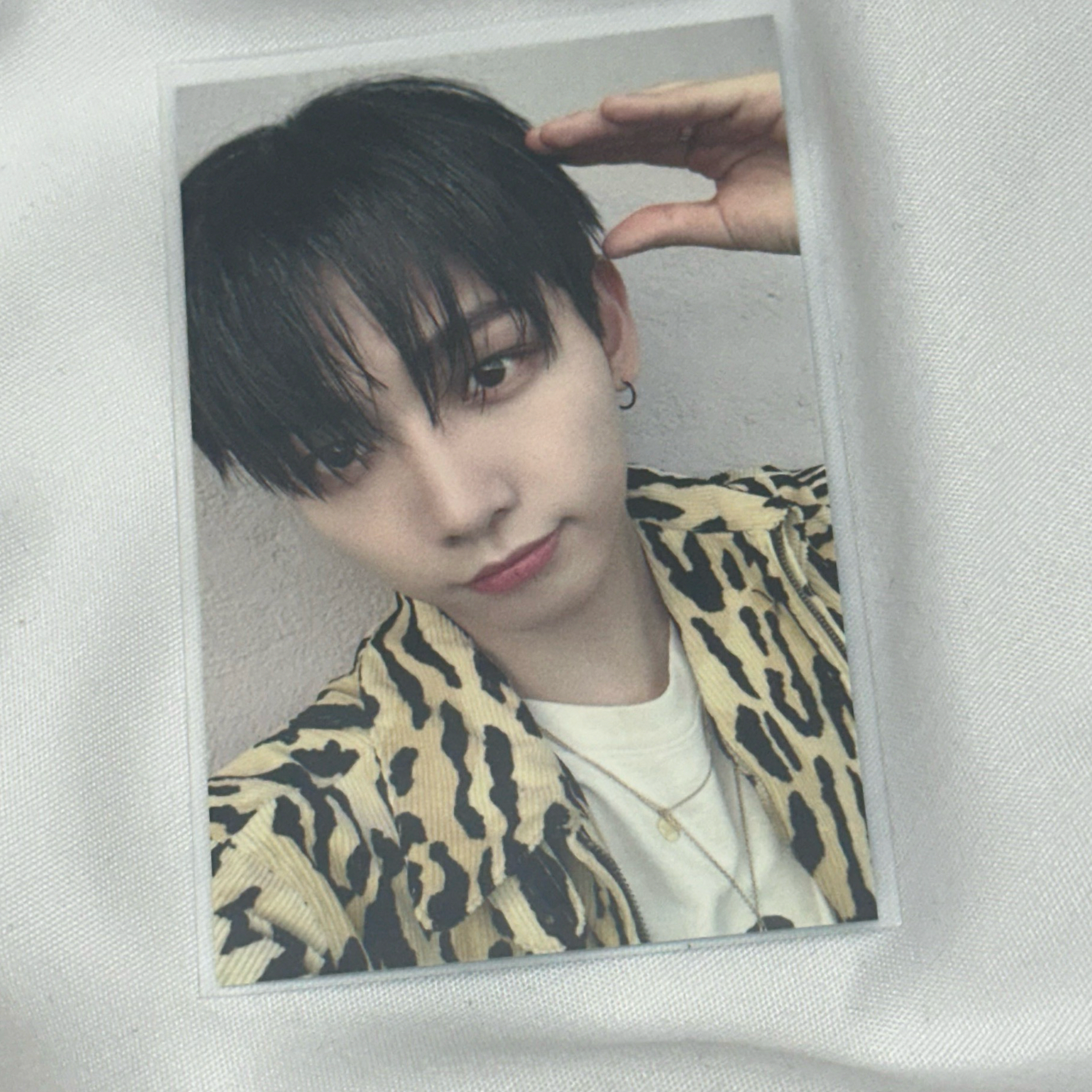 狗耳特典明宰鉉