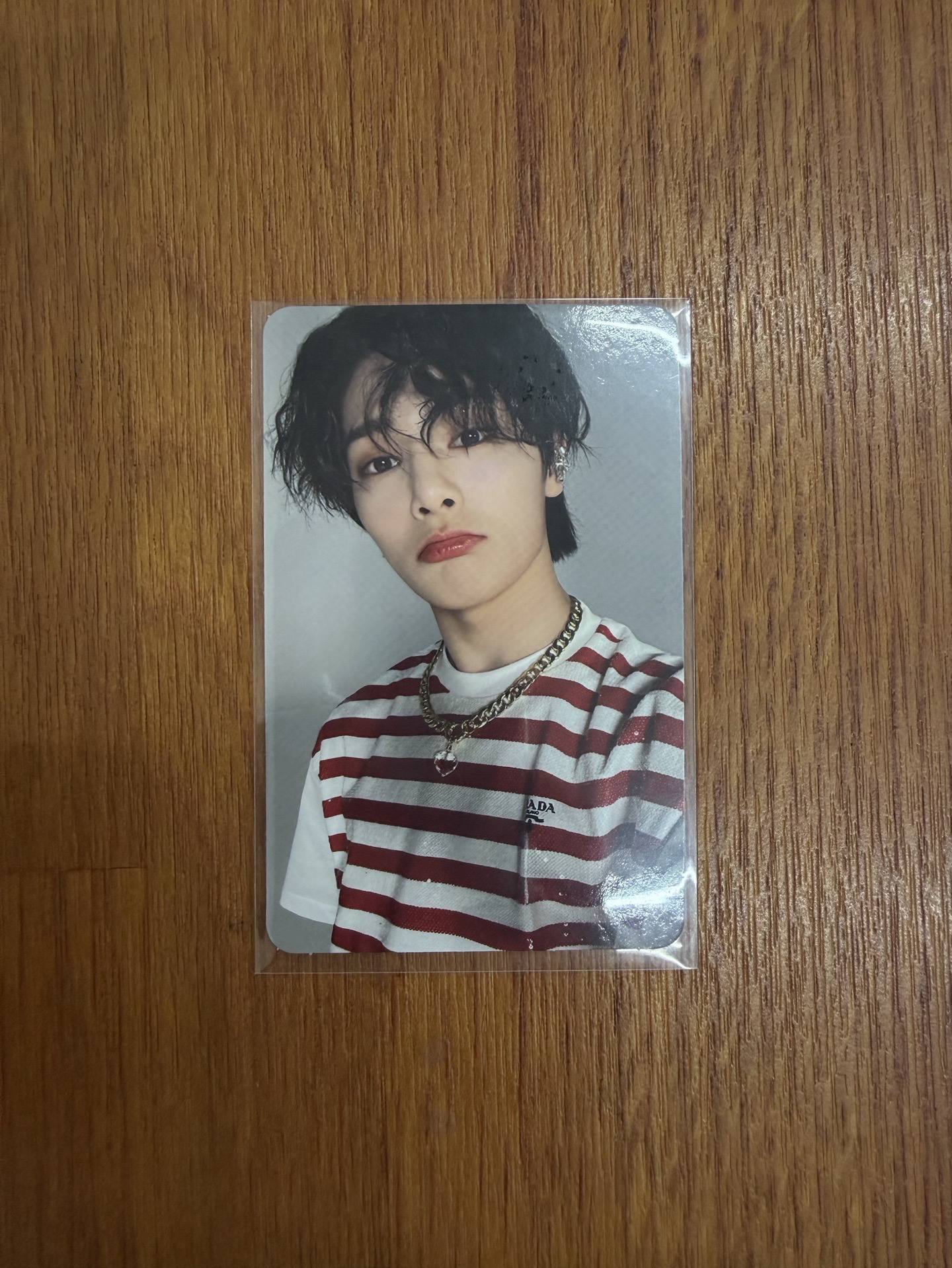 條紋小羊