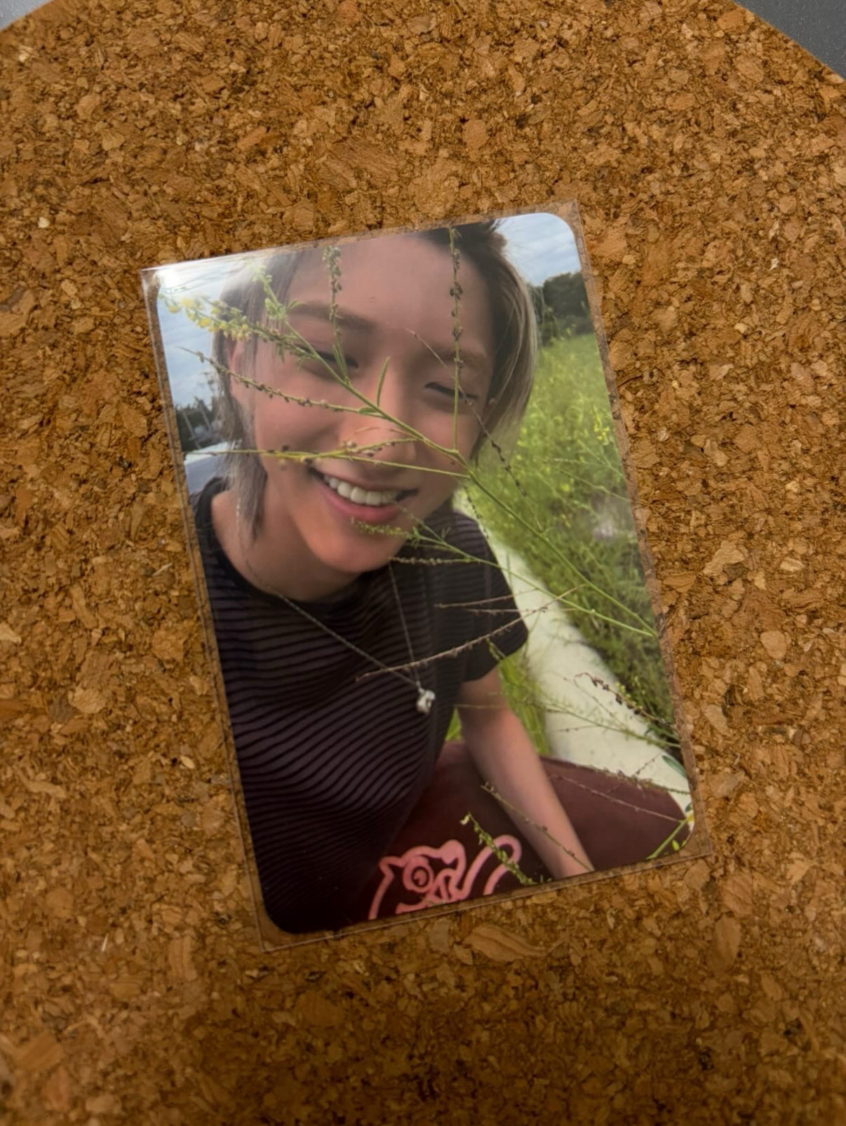 拈花惹草貼紙宇津