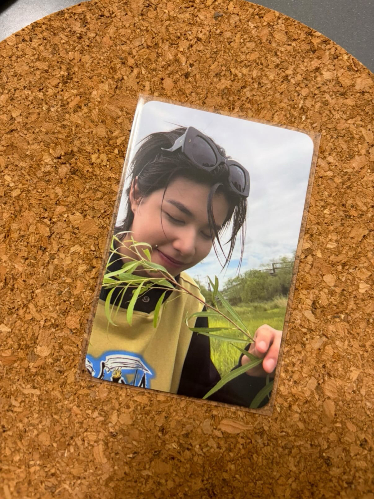 拈花惹草貼紙路易