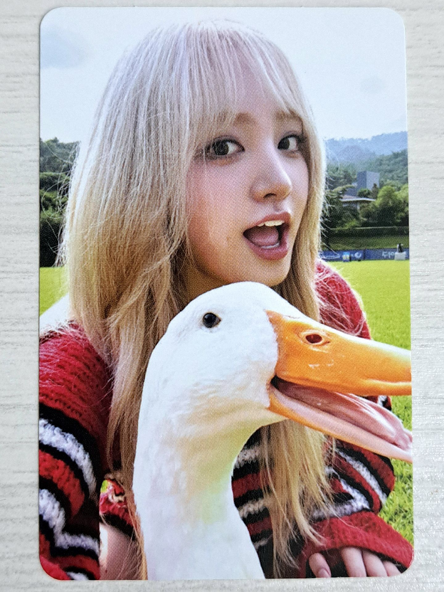 I'VE MINE sw 2.0 幸運卡 大鵝栗