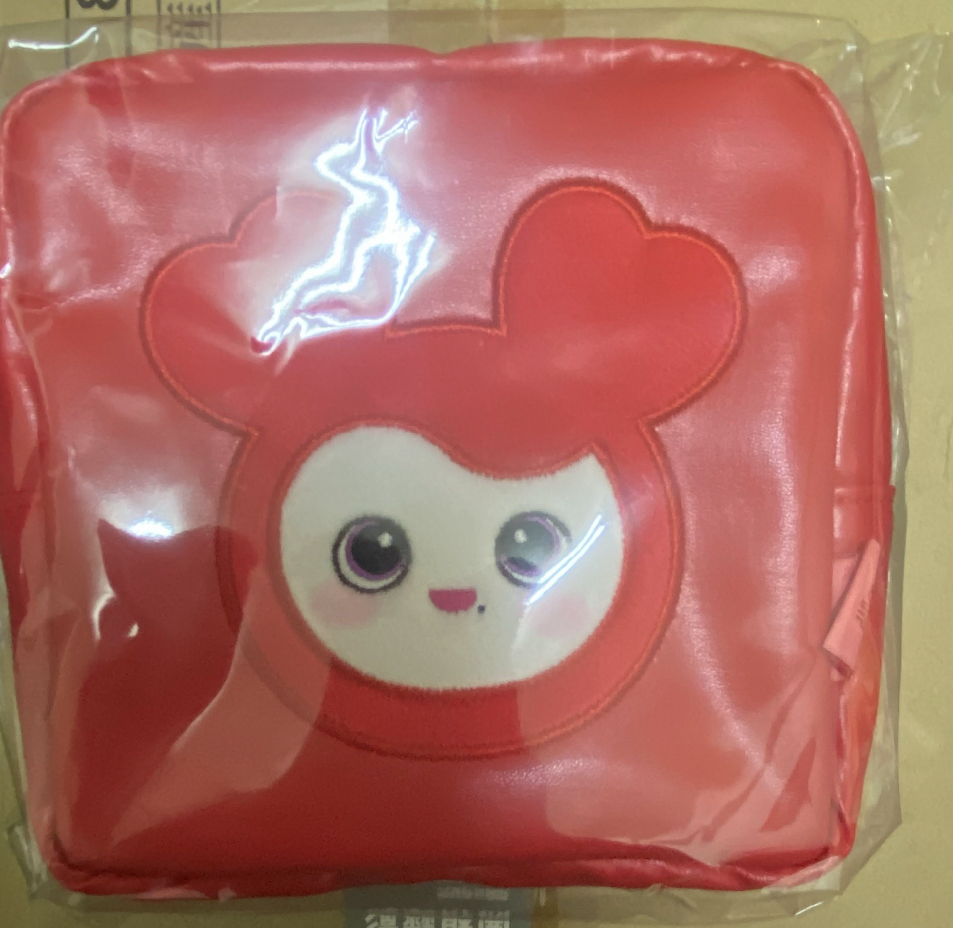 新國立 彩瑛 未拆收納包