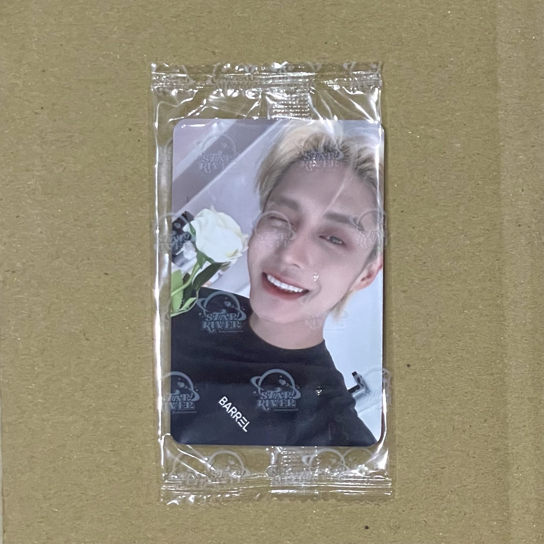 ZB1 金地雄 迷四 星河3.0 七夕玫瑰🌹ver. 中背 芝士就是力量！🧀