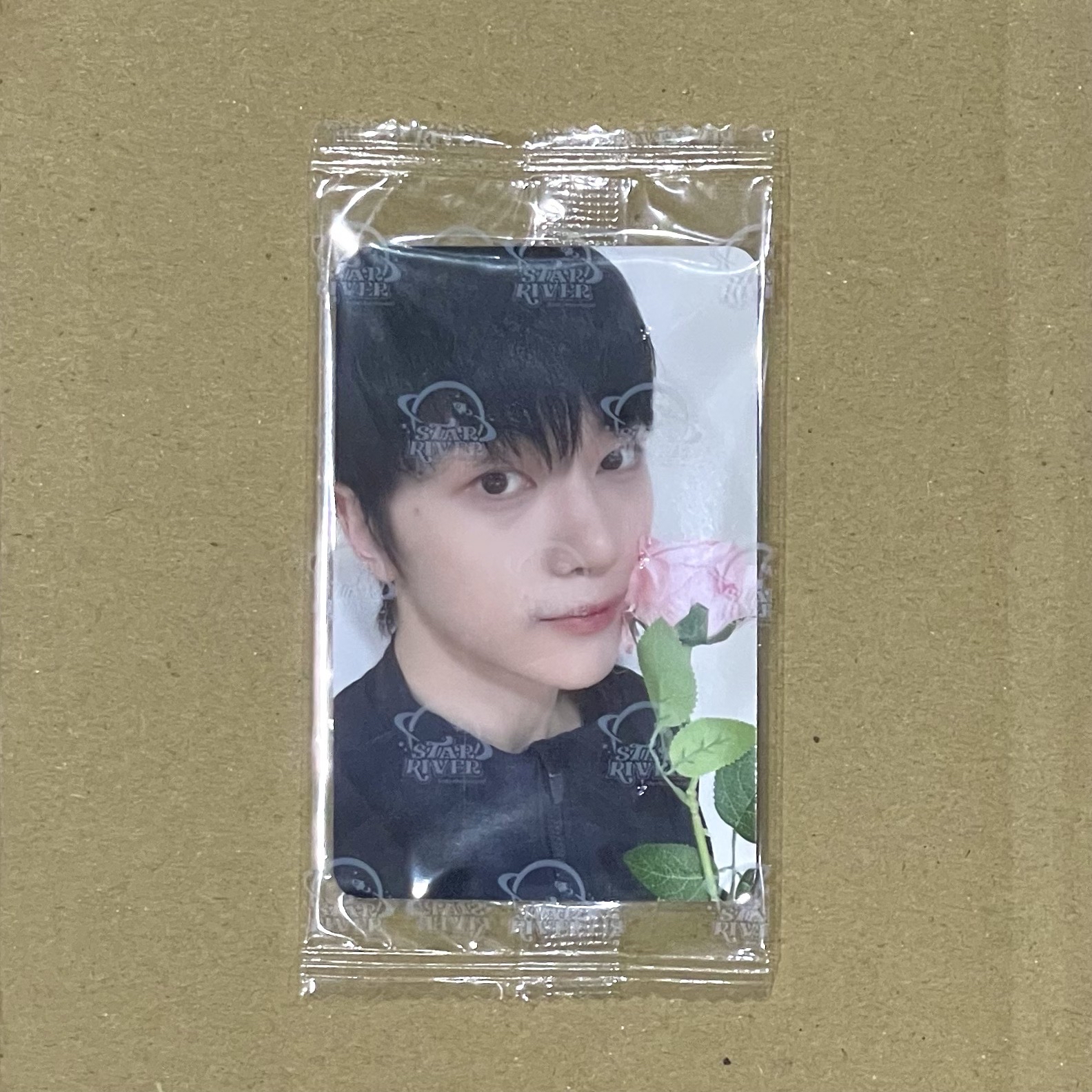 ZB1 石馬修 迷四 星河3.0 七夕玫瑰🌹ver. 中背 吃飯睡覺想修修