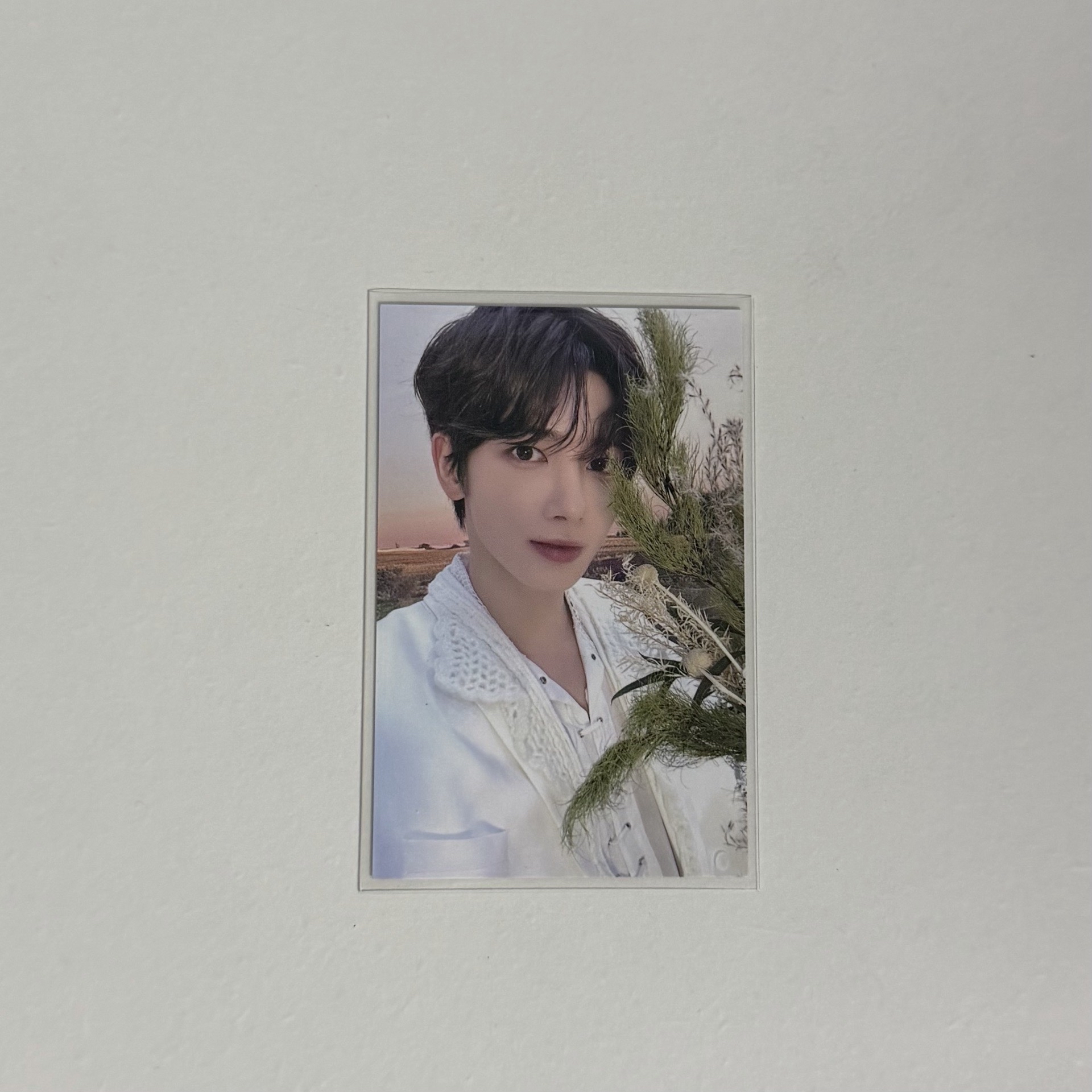 24’巡迴 花環粽顯