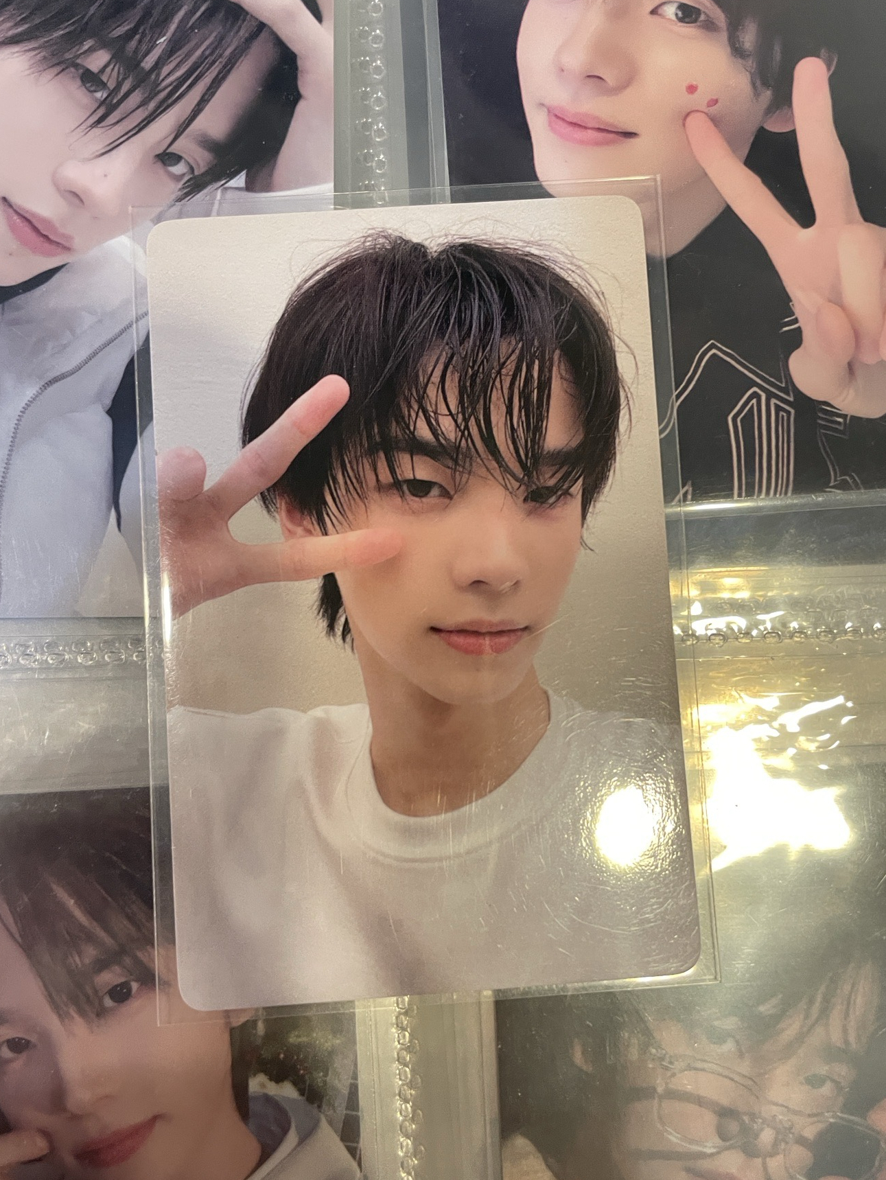 申惟中背 「幸福就是在你身邊 惟也是」‎꒰՞ ܸ. .ܸ՞꒱