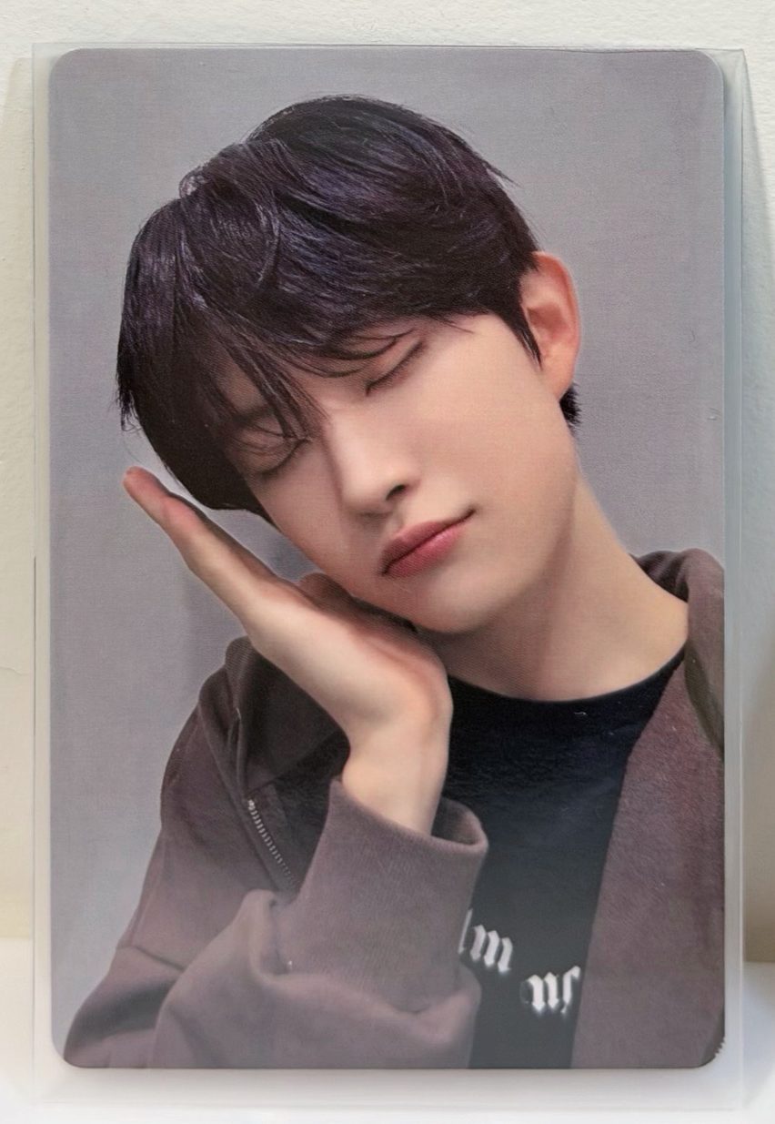 現貨/ALD1 迷一 C賞 晚安 抽選卡 (虔佑💤）