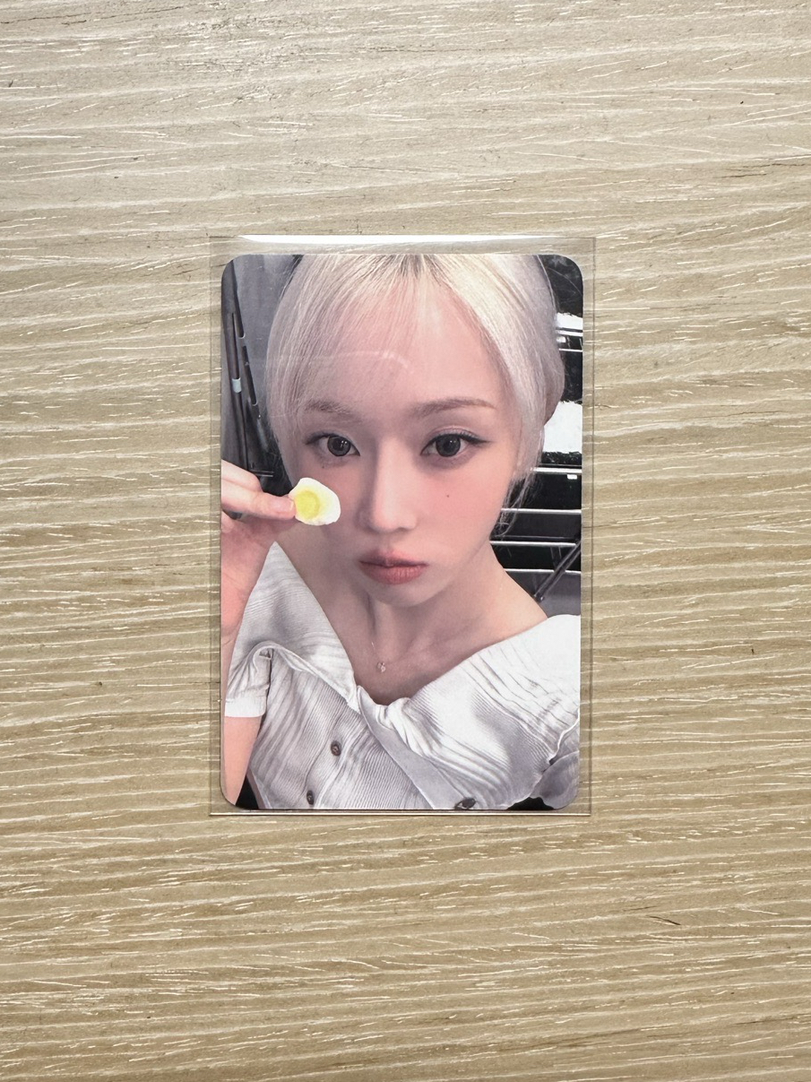 正規一 k4 簽售卡 簽售冬