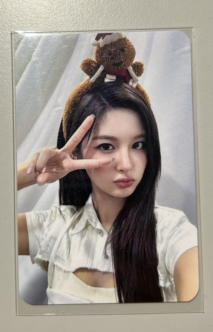 正規一 數星星 3.0 上海咖啡店 簽售卡 薑餅人 ver.