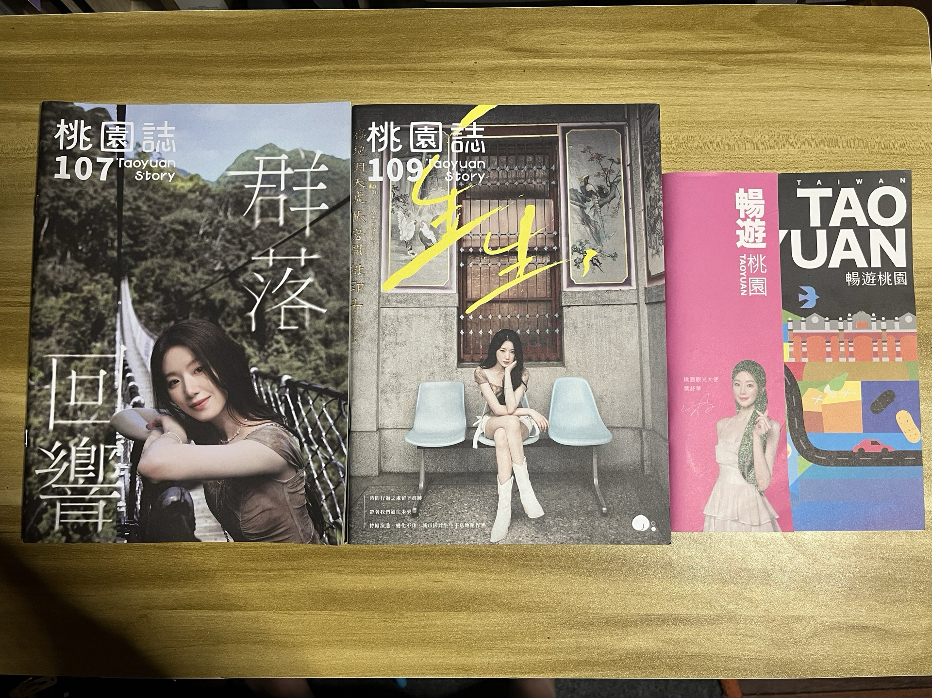 (🏰現貨）舒華 桃園誌 暢遊桃園