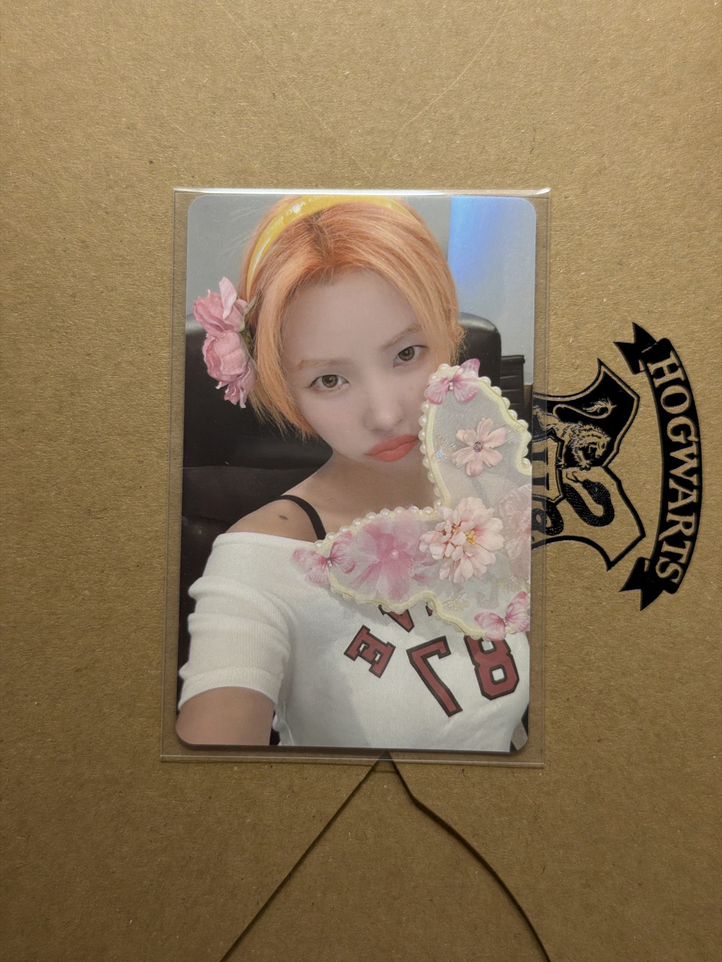 迷7 蝴蝶娟娟🌟